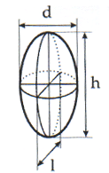 Ellipsoid.gif