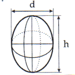 Elongated spheroid.gif