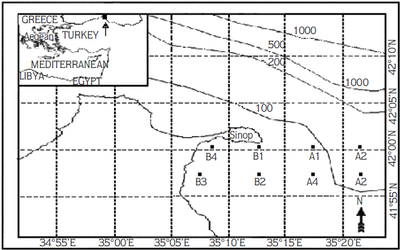 M Turkoglu T Koray 2002 map detailed.png